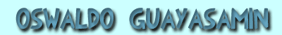 Oswaldo Guayasam&iacute;n