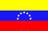 La bandera venezuelana