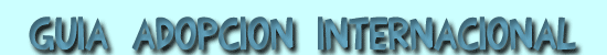 Gu&iacute;a adopci&oacute;n internacional