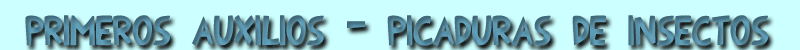 Picaduras de insectos