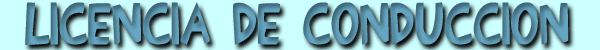 Licencia de conducci&oacute;n