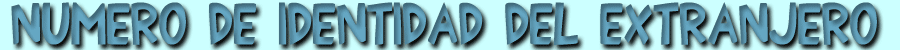 N&uacute;mero de identidad de extranjero