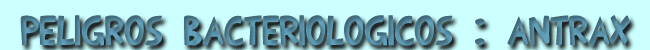 Los peligros bacteriol&oacute;gicos: Antrax