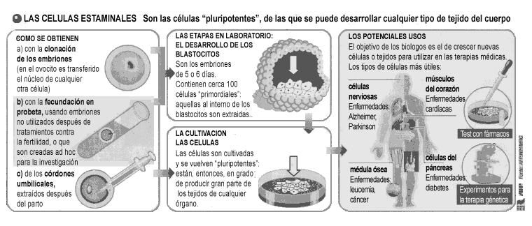 pdf paradise now