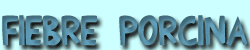 fiebre porcina