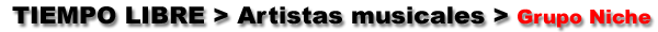 Grupo Niche