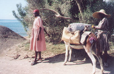 Campesino haitiano
(Foto da Tequila Minsky)