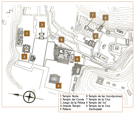 Planta de Palenque