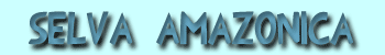 Selva amaz&oacute;nica