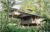 Selva Bananito Lodge