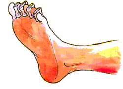 3. Separar los dedos de los pies y de las manos