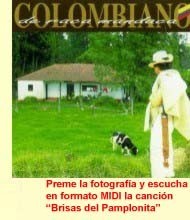 Colombiano de raca mandaca